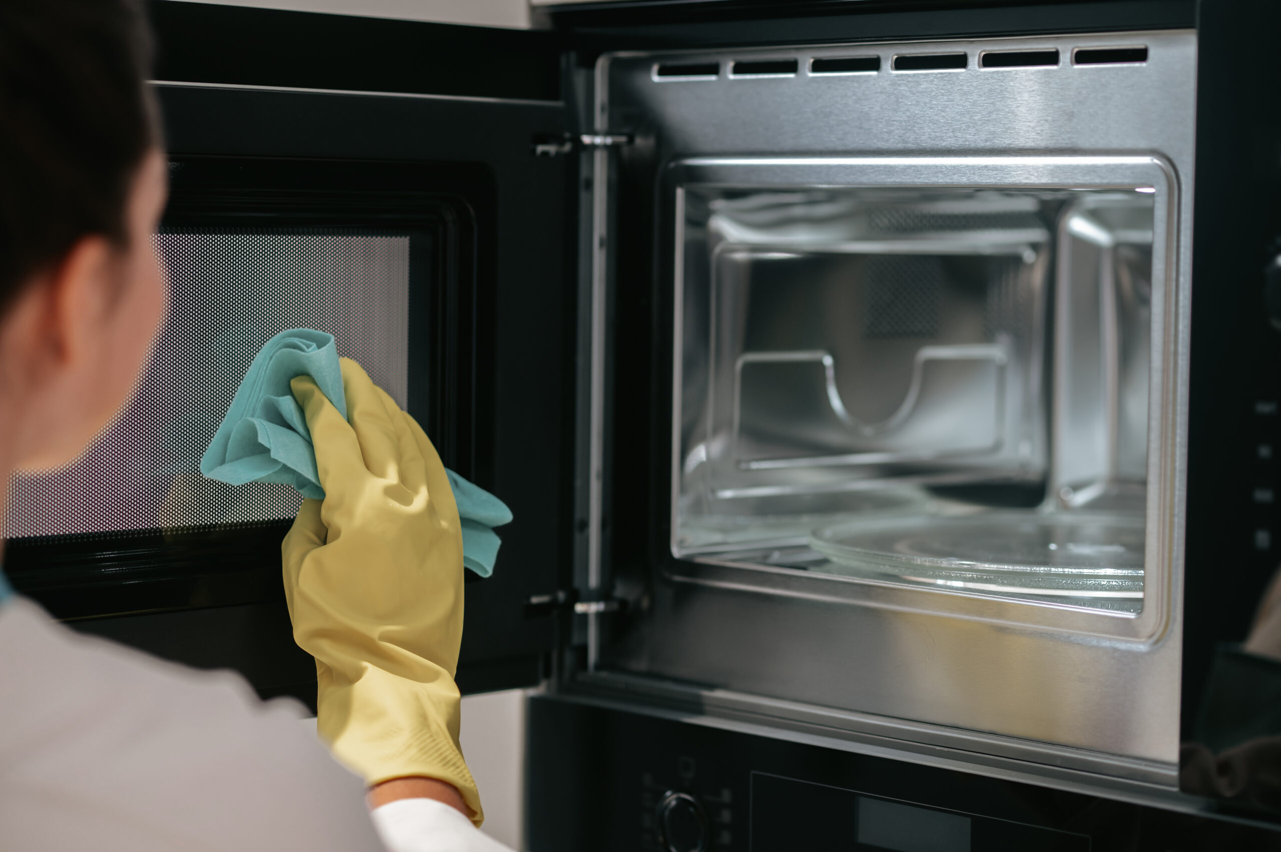 Oven Cleaning Services