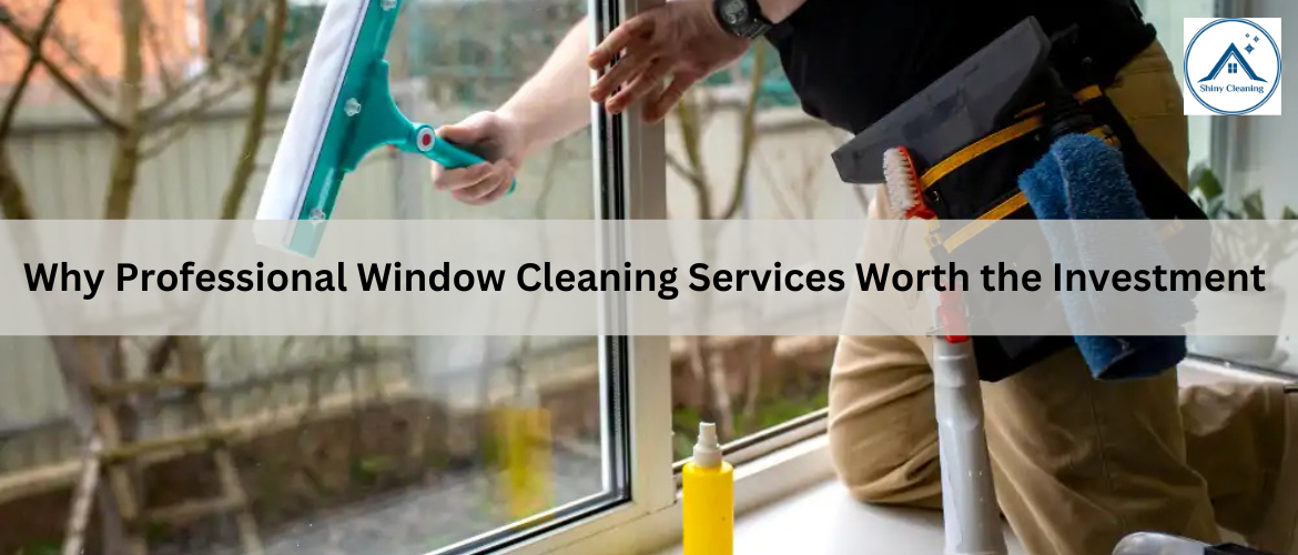 Professional Window Cleaning Services