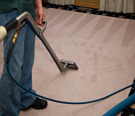 carpet steam cleaning