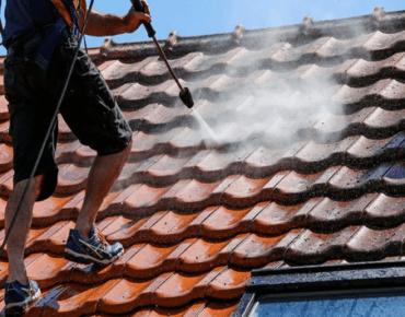 roof cleaning